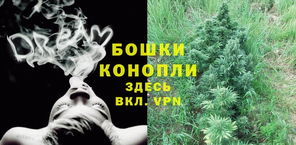 ПСИЛОЦИБИНОВЫЕ ГРИБЫ Верхнеуральск