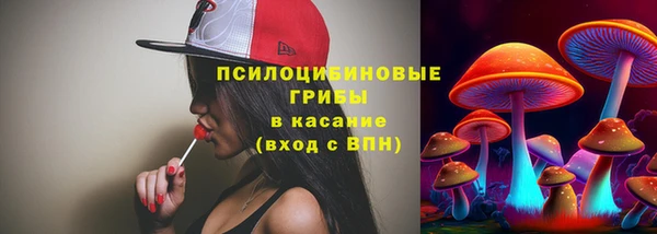 ПСИЛОЦИБИНОВЫЕ ГРИБЫ Верхнеуральск