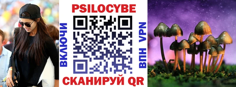 где найти   mega зеркало  Псилоцибиновые грибы Cubensis  Кашира 